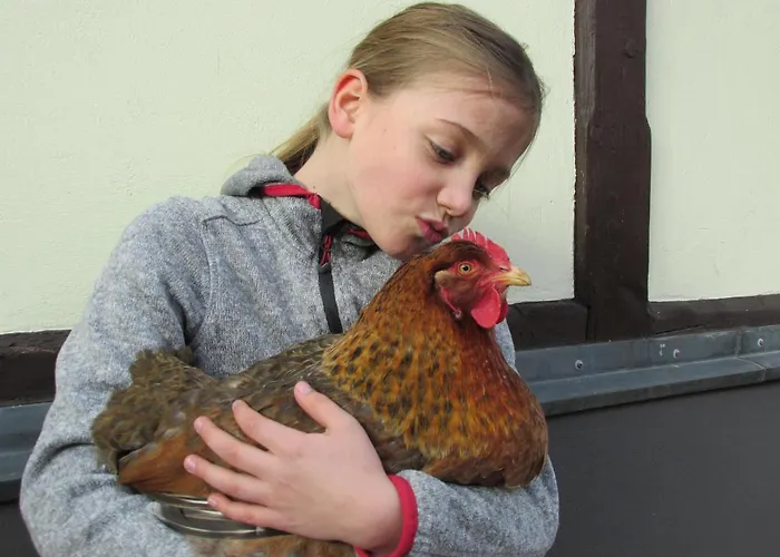 Havelapartments Séjour chez l'habitant Berlin
