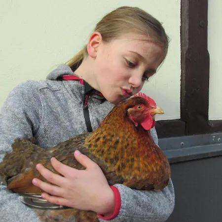 Havelapartments Pansiyon Berlin